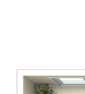 1 Bedroom, 1 Bathroom Floor Plan 1 Bedroom, 1 Bathroom Floor Plan